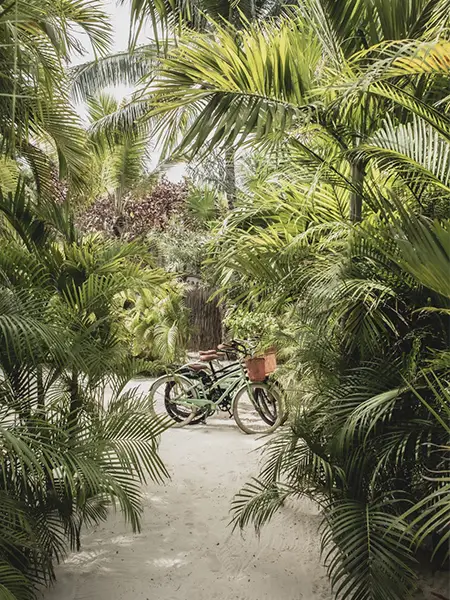 Bikes in La Valise Tulum